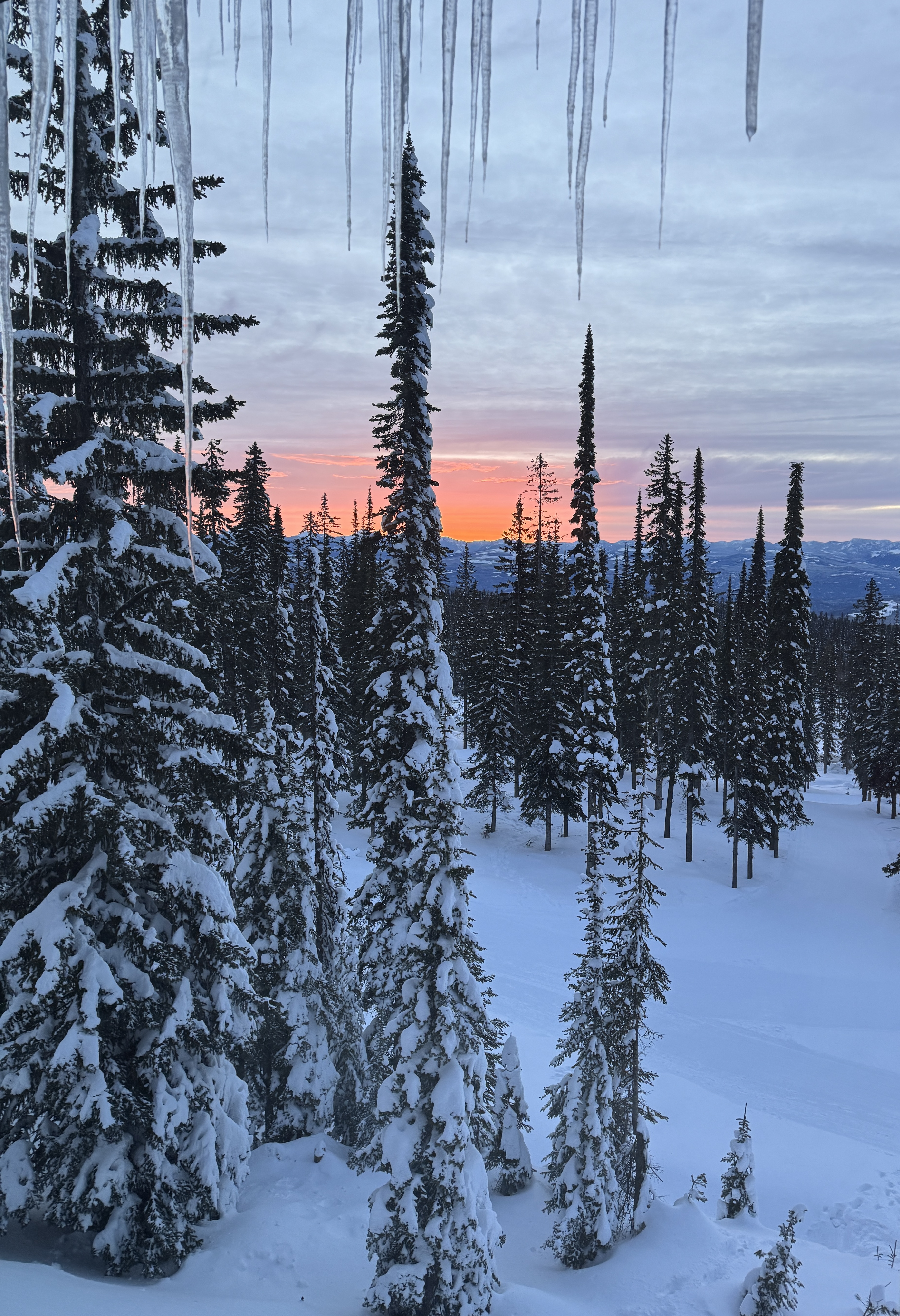 Sunset over snow-covered pines at Big White Mountain